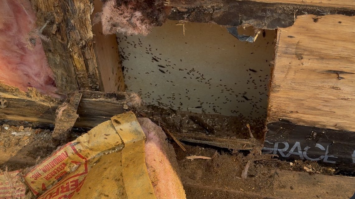 Home renovation project