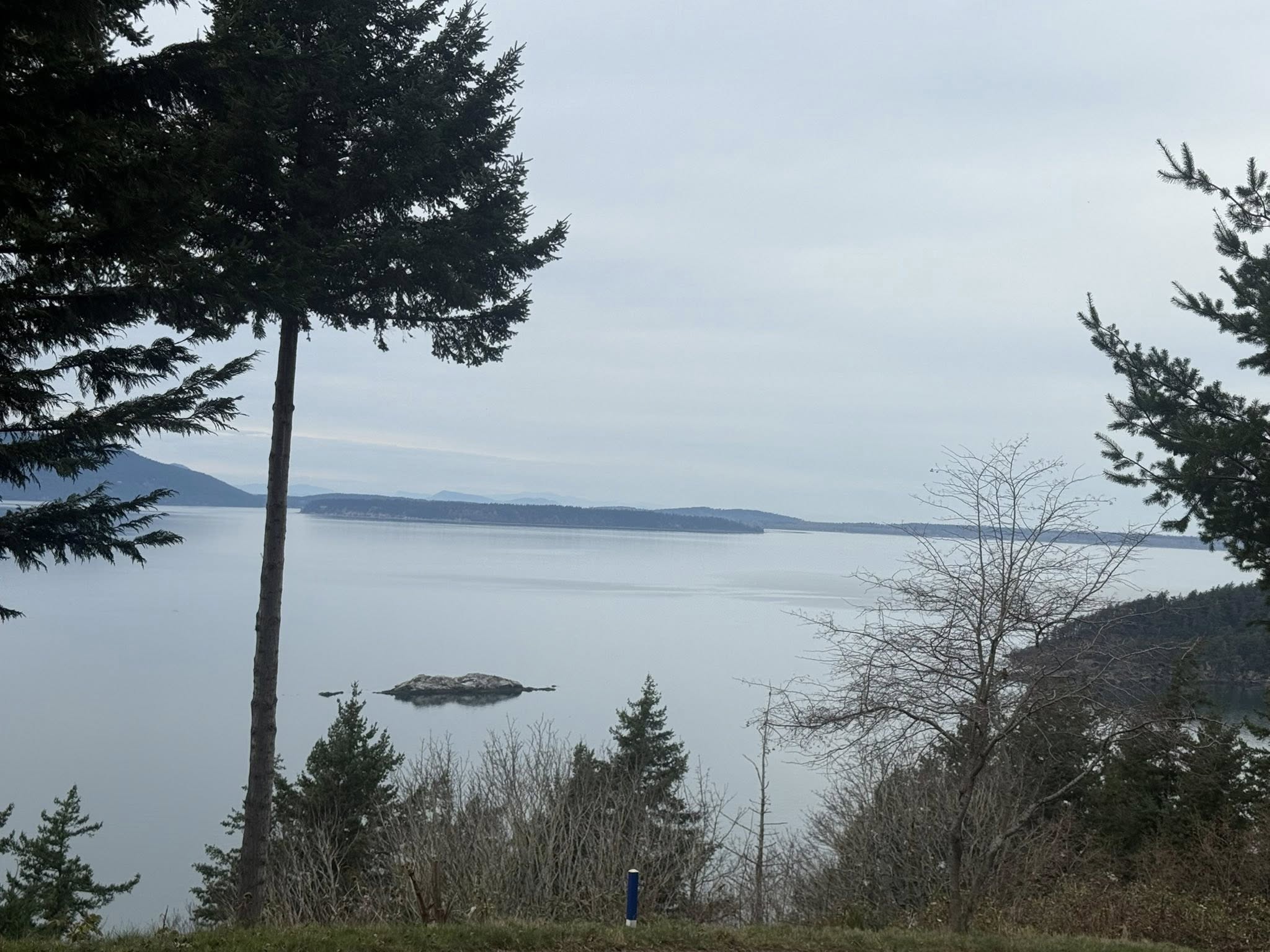 Beautiful Whatcom County job site view